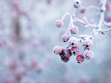 winter_bps_kosmetik.jpg winter_bps_kosmetik